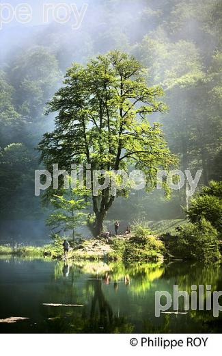 LE LAC DE BETHMALE,  VALLEE DE BETHMALE, COUSERANS, ARIEGE. (09F01614.jpg)