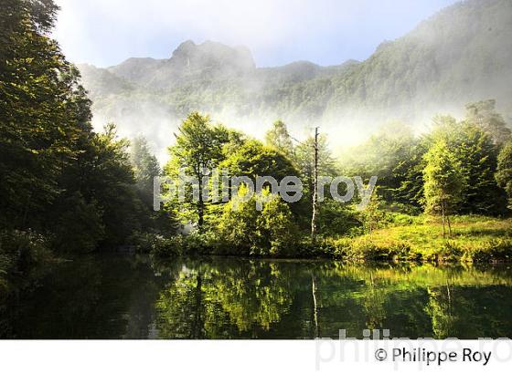 LE LAC DE BETHMALE, ET MONT VALIER, VALLEE DE BETHMALE, COUSERANS, ARIEGE. (09F01619.jpg)