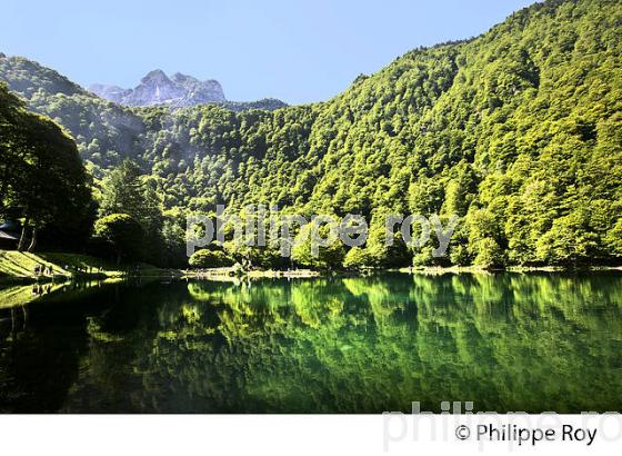 LE LAC DE BETHMALE, ET MONT VALIER, VALLEE DE BETHMALE, COUSERANS, ARIEGE. (09F01620.jpg)