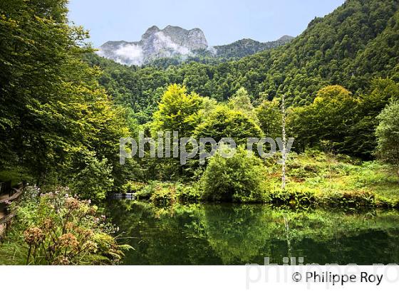 LE LAC DE BETHMALE, ET MONT VALIER, VALLEE DE BETHMALE, COUSERANS, ARIEGE. (09F01621.jpg)