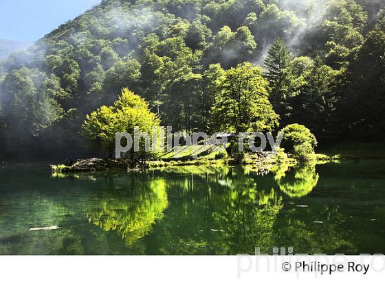 LE LAC DE BETHMALE,  VALLEE DE BETHMALE, COUSERANS, ARIEGE. (09F01623.jpg)