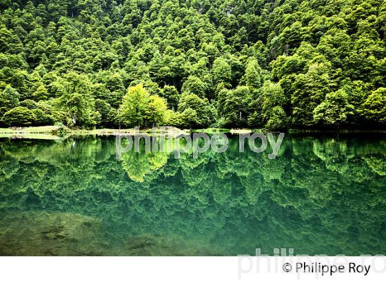 LE LAC DE BETHMALE,  VALLEE DE BETHMALE, COUSERANS, ARIEGE. (09F01625.jpg)