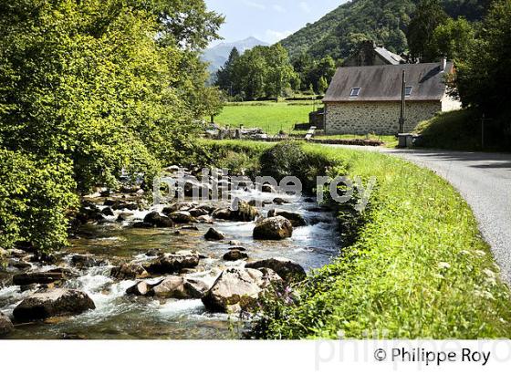 PAYSAGE DE MONTAGNE,   VALLEE D' USTOU,   COUSERANS, ARIEGE. (09F01733.jpg)