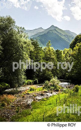 PAYSAGE DE MONTAGNE,   VALLEE D' USTOU,   COUSERANS, ARIEGE. (09F01736.jpg)