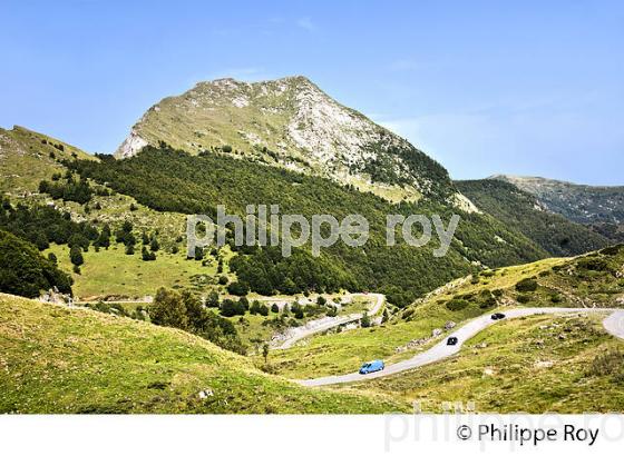 LE  COL D' AGNES, COMMUNE LE PORT,   COUSERANS, ARIEGE. (09F01902.jpg)