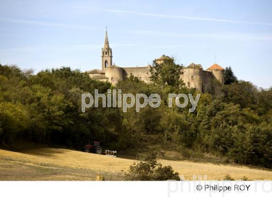 Montgaur - Aude (11F00118.jpg)