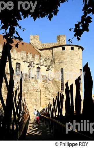 LE  PALAIS DES ARCHEVEQUES, VILLE DE NARBONNE, AUDE, OCCITANIE (11F00128.jpg)