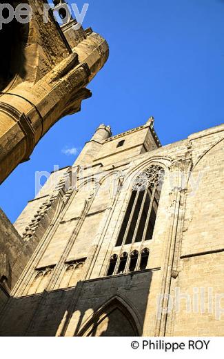 CATHEDRALE SAINT-JUST, VILLE DE NARBONNE,  AUDE, OCCITANIE. (11F00138.jpg)