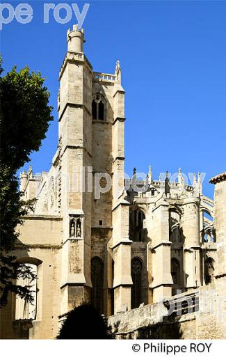 CATHEDRALE SAINT-JUST, VILLE DE NARBONNE,  AUDE, OCCITANIE. (11F00139.jpg)