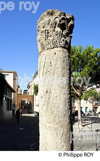 PLACE DU FORUM, VILLE DE  NARBONNE, AUDE, OCCITANIE. (11F00530.jpg)