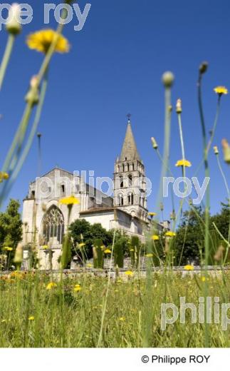Abbaye - Bassac (16F00138.jpg)