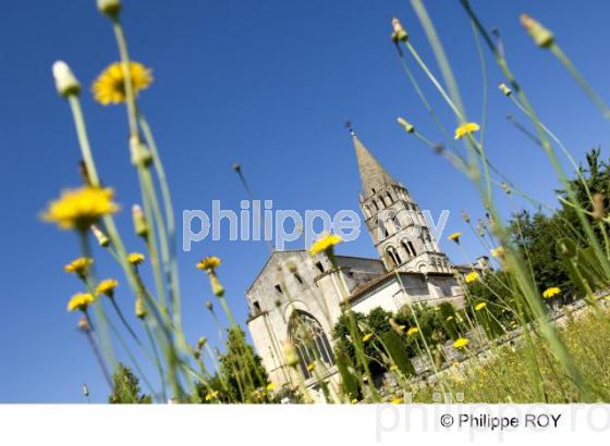 Abbaye - Bassac (16F00201.jpg)
