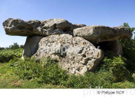 Dolmen - Charente (16F00232.jpg)