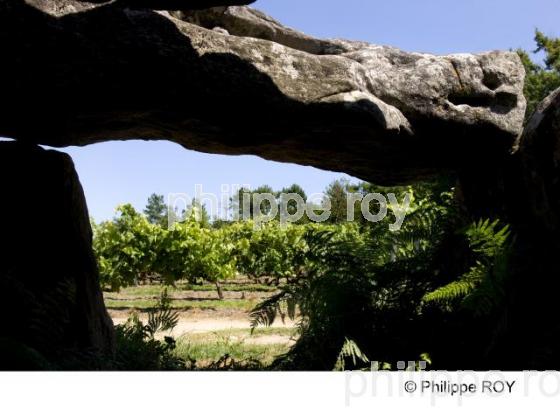 Dolmen - Charente (16F00233.jpg)