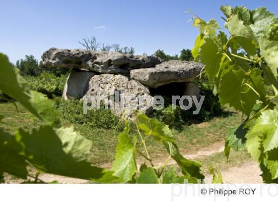 Dolmen - Charente (16F00235.jpg)