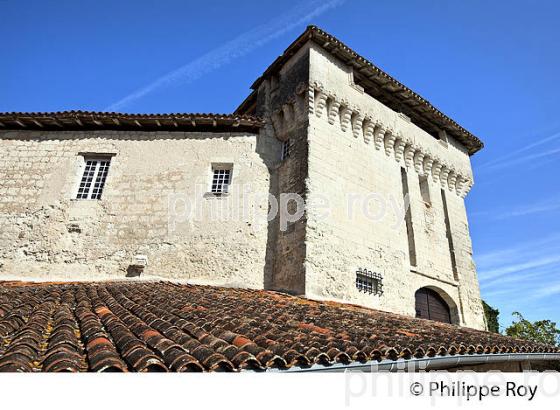 CHATEAU MEDIEVAL, VILLAGE  FORTIFIE  DE  AUBETERRE SUR DRONNE,  VALLEE DE LA DRONNE,  CHARENTE. (16F00838.jpg)