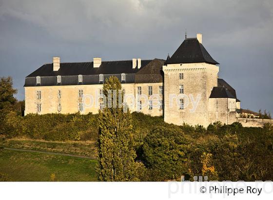 LE CHATEAU DE CHALAIS,  CHARENTE. (16F00903.jpg)