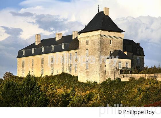 LE CHATEAU DE CHALAIS,  CHARENTE. (16F00904.jpg)