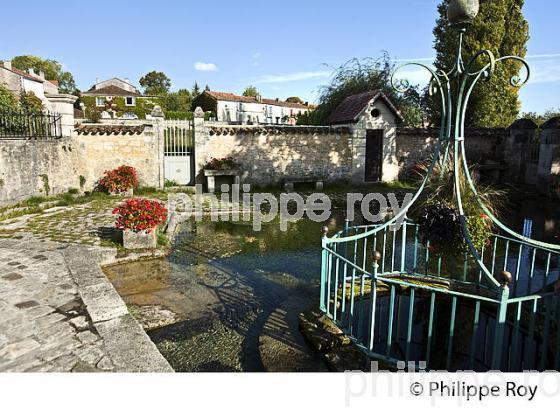 LA FONTAINE LEGENDAIRE, VILLAGE DE RONSENAC,  CHARENTE. (16F00924.jpg)