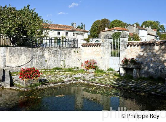 LA FONTAINE LEGENDAIRE, VILLAGE DE RONSENAC,  CHARENTE. (16F00925.jpg)
