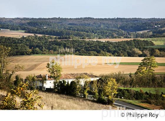 PAYSAGE AGRICOLE , VILLAGE  FORTIFIE DE VILLEBOIS-LAVALETTE,  CHARENTE. (16F00936.jpg)