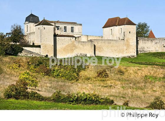 LE CHATEAU FORT DU VILLAGE  MEDIEVAL  DE VILLEBOIS-LAVALETTE,  CHARENTE. (16F01002.jpg)