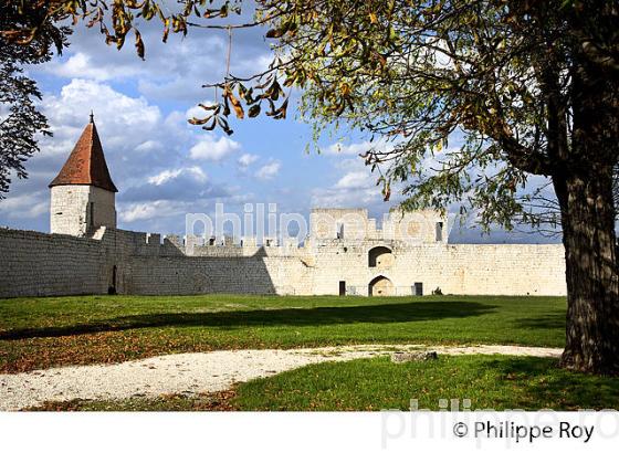 LE CHATEAU FORT DU VILLAGE  MEDIEVAL  DE VILLEBOIS-LAVALETTE,  CHARENTE. (16F01013.jpg)