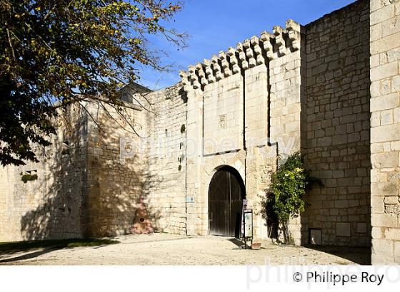 LE CHATEAU FORT DU VILLAGE  MEDIEVAL  DE VILLEBOIS-LAVALETTE,  CHARENTE. (16F01016.jpg)