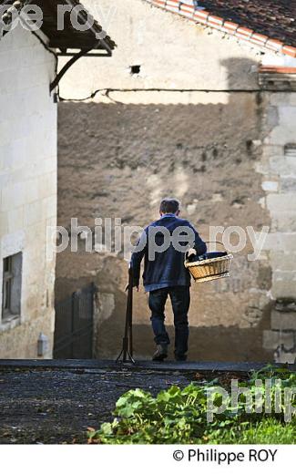 LE VILLAGE  MEDIEVAL  DE VILLEBOIS-LAVALETTE,  CHARENTE. (16F01025.jpg)