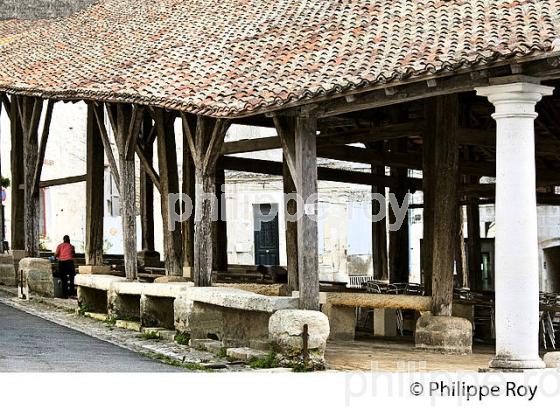 LA HALLE  EN BOIS, VILLAGE  MEDIEVAL  DE VILLEBOIS-LAVALETTE,  CHARENTE. (16F01037.jpg)