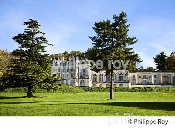 LE CHATEAU  DE LA MERCERIE, COMMUNE DE MAGNAC-LAVALETTE-VILLARS,  CHARENTE. (16F01112.jpg)