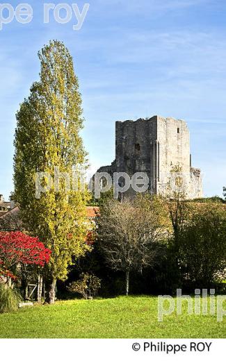 LE VILLAGE MEDIEVAL  DE  MARTHON, CHARENTE. (16F01203.jpg)