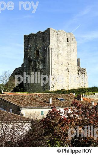 LE VILLAGE MEDIEVAL  DE  MARTHON, CHARENTE. (16F01204.jpg)