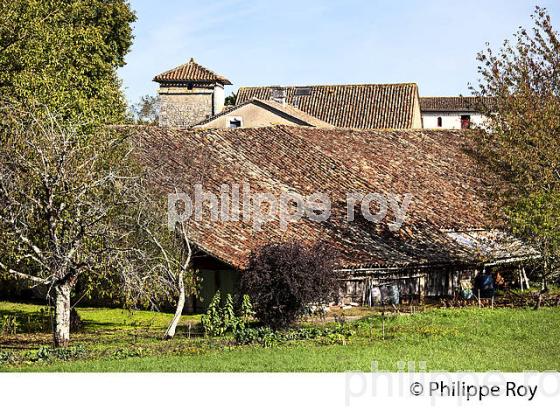 LE VILLAGE MEDIEVAL  DE  MARTHON, CHARENTE. (16F01211.jpg)