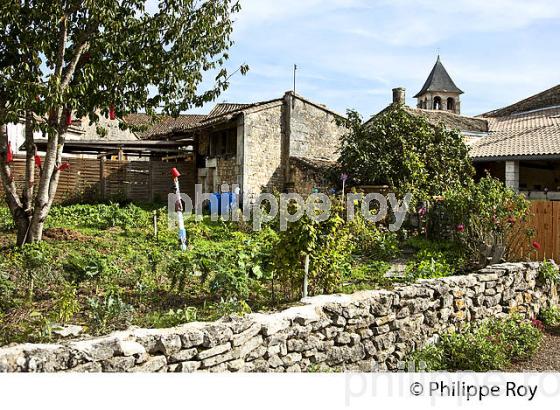 LE VILLAGE MEDIEVAL  DE  MORNAC , CHARENTE. (16F01231.jpg)