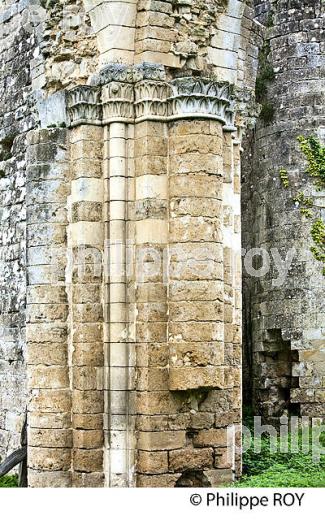 MONASTERE DE TUSSON, VILLAGE MEDIEVAL  DE TUSSON , VALLEE D' AULME,  CHARENTE. (16F01412.jpg)