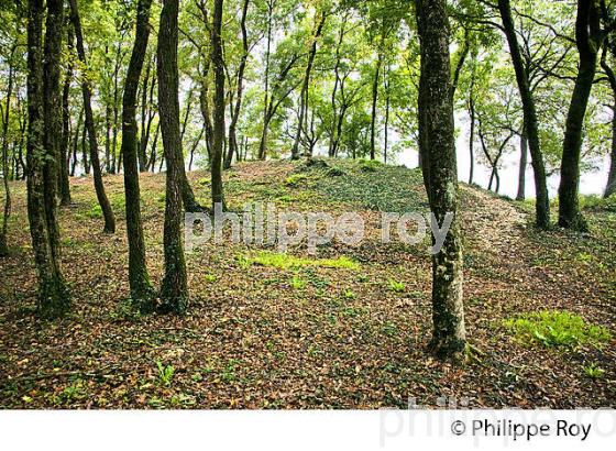 TUMULUS NEOLITHIQUE   DE TUSSON , VALLEE D' AULME,  CHARENTE. (16F01418.jpg)