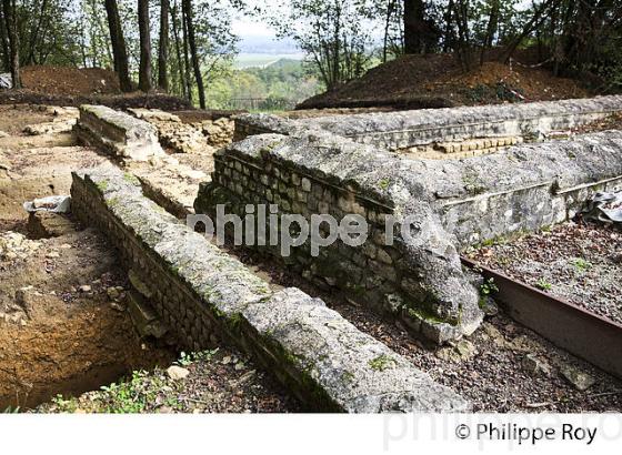 SITE GALLO-ROMAIN DES BOUCHAUDS, SAINT-CYBARDEAUX, CHARENTE. (16F01502.jpg)