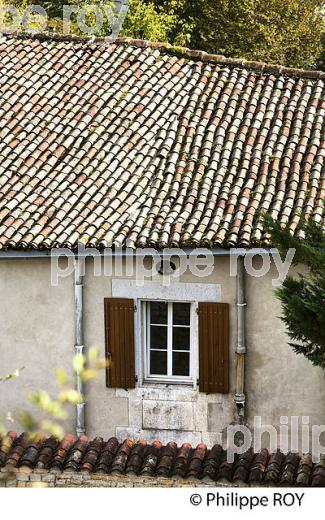 LE VILLAGE MEDIEVAL  DE  MONTIGNAC-CHARENTE, VALLEE DE LA CHARENTE . (16F01530.jpg)