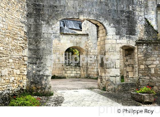 ABBAYE SAINT-ETIENNE, BASSAC, VALLEE DE LA CHARENTE,  CHARENTE . (16F01622.jpg)