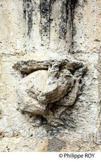 ABBAYE SAINT-ETIENNE, BASSAC, VALLEE DE LA CHARENTE,  CHARENTE . (16F01628.jpg)