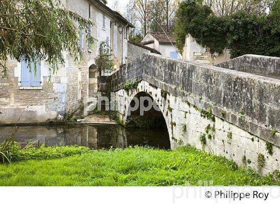 LA CHARENTE ET LE  VILLAGE DE  BASSAC, VALLEE DE LA CHARENTE,   CHARENTE . (16F01640.jpg)