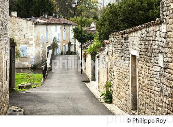 LA CHARENTE ET LE  VILLAGE DE  BASSAC, VALLEE DE LA CHARENTE,   CHARENTE . (16F01701.jpg)