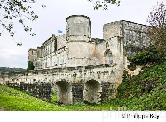 RUINES DU CHATEAU  DE  BOUTEVILLE,  GRANDE CHAMPAGNE,   CHARENTE. (16F01706.jpg)