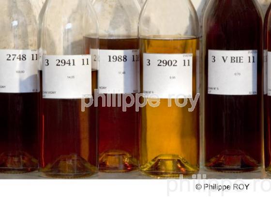 Cognac (16V00807.jpg)