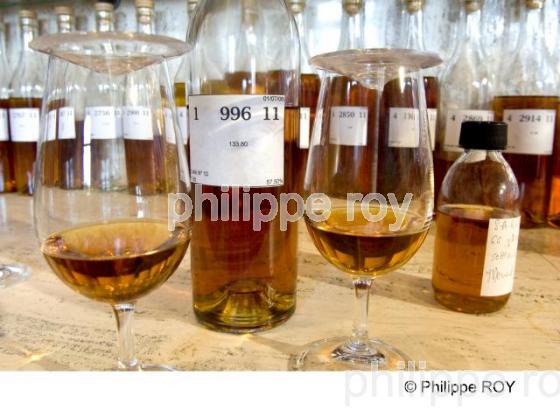 Cognac (16V00810.jpg)