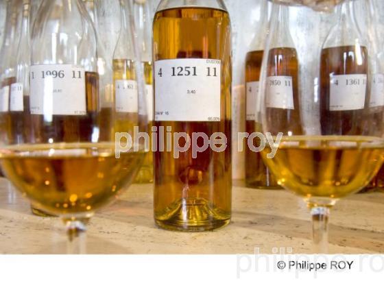 Cognac (16V00811.jpg)
