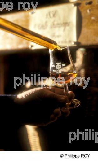 Cognac (16V01012.jpg)