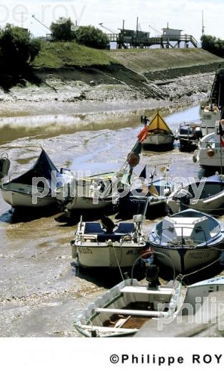 Meschers - Charente Maritime (17F00137.jpg)