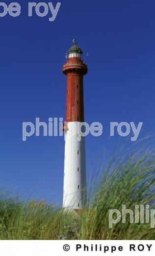 La Palmyre - Charente Maritime (17F00140.jpg)